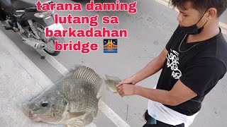 barkadahan bridge