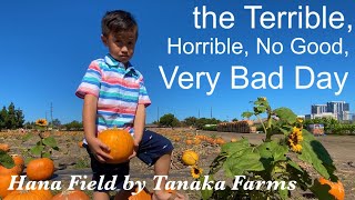 TANAKA FARMS Pumpkin Patch | Hana Field in Costa Mesa, CA