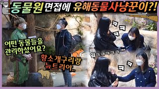 [Prank Camera] A hunter interviews for a job at a zoo? Rejected for sure! (feat. Zoolung Zoolung)