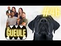 La gueule 46  de lactu du chien et de la bonne humeur 