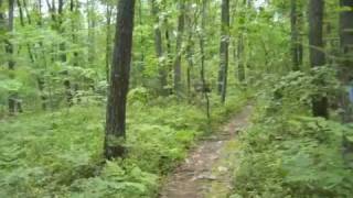 Time-Lapse Hike of Mt. Nittany