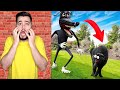 CARTOON DOG в РЕАЛЬНОЙ ЖИЗНИ СЪЕЛ МОЮ КОШКУ 🔪😿