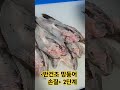 반건조 망둥어 손질 2단계