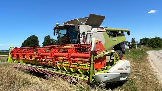 Moisson de colza 2022 !! | CLAAS LEXION 8700