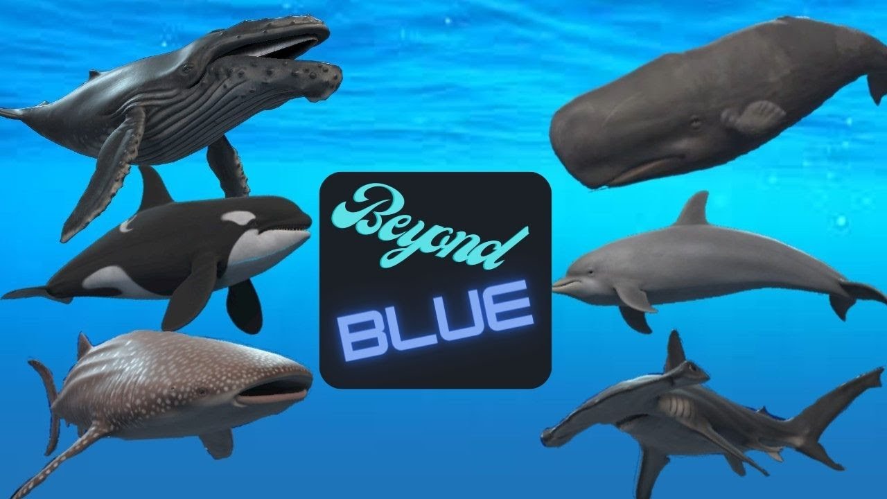 More to Explore | Beyond Blue | Stream - YouTube