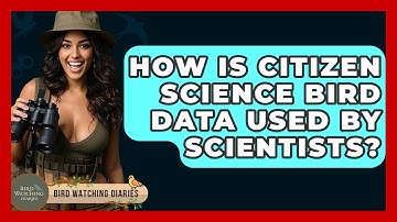 How Is Citizen Science Bird Data Used By Scientists? - Bird Watching Diaries