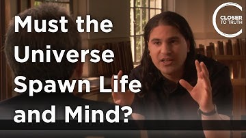 Nima Arkani-Hamed - Must the Universe Spawn Life and Mind?