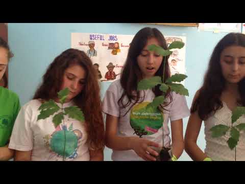 ნიკო კეცხოველის სასკოლო კონკურსი