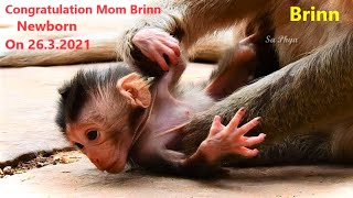 Congratulation! Mom Brinn Just Give Birth, Newborn So Cute, Mom Brinn Feel So Tired After Gave Birth