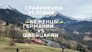 Сравниваем условия для беженцев из 🇺🇦 в Германии и Швейцарии