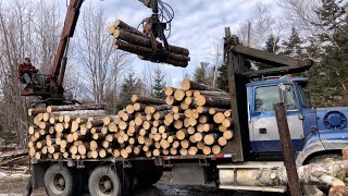 87 Year Old Man Still Trucking and Hauling Wood Another Week at The Cut by Burnin Gas 3,513 views 4 months ago 12 minutes, 27 seconds