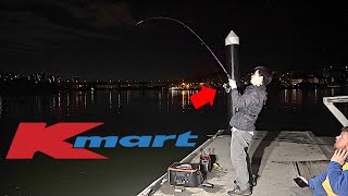 Can You Catch Fish On $20 Budget? Kmart Challenge!