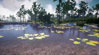 Virtual Nature: The Virtual UCF Arboretum Waterbody.mp4