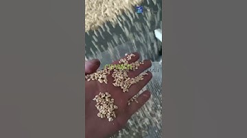 Peanut Chopper Machine Chopped Peanuts Come Out Amazing Peanut Chopper Enhances Nuts Chopping Well