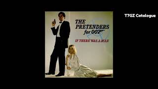 The Pretenders - If There was a Man (Instrumental)