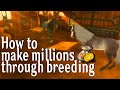 How to get millions through breeding in alicia online