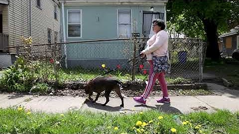 Filling in the Inner Loop: 