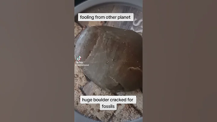 huge boulder cracked for fossils