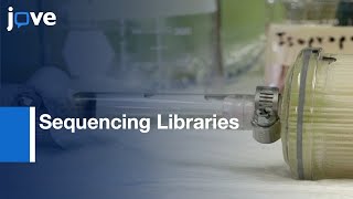 Gel size Selection to Improve Quality of Sequencing Libraries | Protocol Preview
