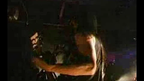 FVM1-3 A Life Once Lost 2