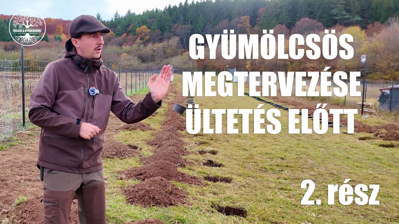 Gyümölcsös tervezés: gyümölcsfák, szeder, málna, áfonya ültetésének előkészítése - 2. rész
