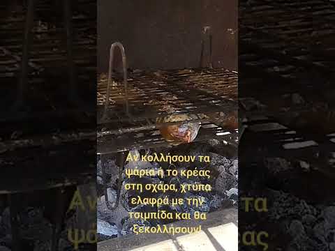Όταν τα ψάρια