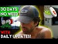 30 Days No Weed - The Detox Process