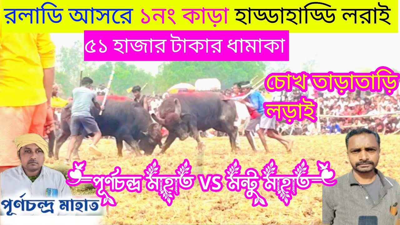 রলাডি আসরে ১নং কাড়া লরাই মন্টু মাহাত VS পূর্ণচন্দ্র মাহাত। ( পেনাদা )