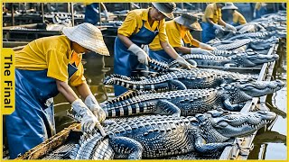 How Farmers Earn 300 Million USD from Proces Crocodile Meat | Food Processing Machines