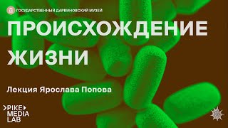 Онлайн-лекция Ярослава Попова 