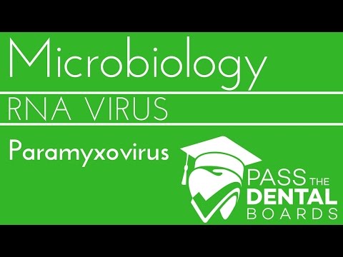 Video: Kunnen mensen paramyxovirus krijgen?
