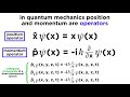 Operators and Principles in Quantum Mechanics
