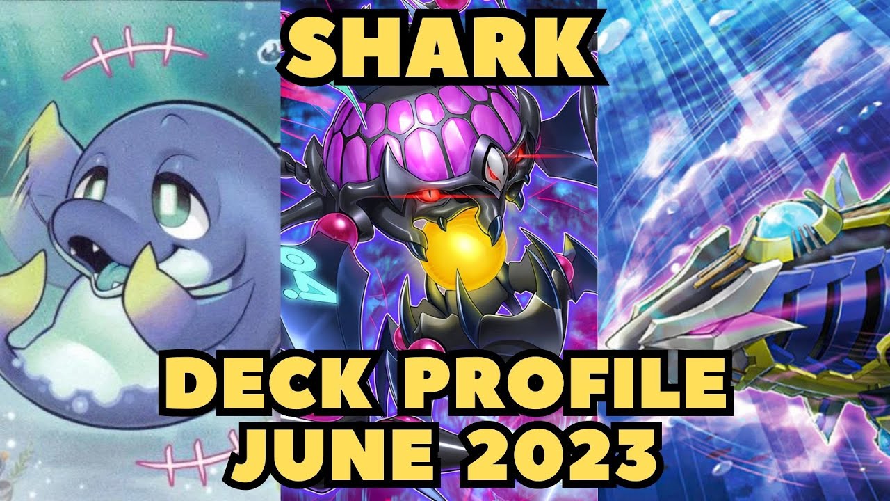 Yu-Gi-Oh! Shark Deck Profile June 2023 - YouTube