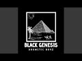 Black Genesis