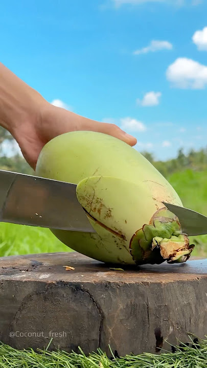 Satisfying Green Coconut Opening