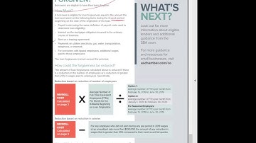 Breaking Down the CARES Payroll Protection Program