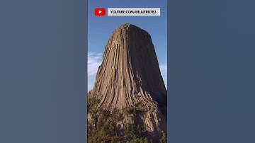 gốc cây cổ đại khổng lồ-thế giới bí ẩn (số 001)-@luutru783