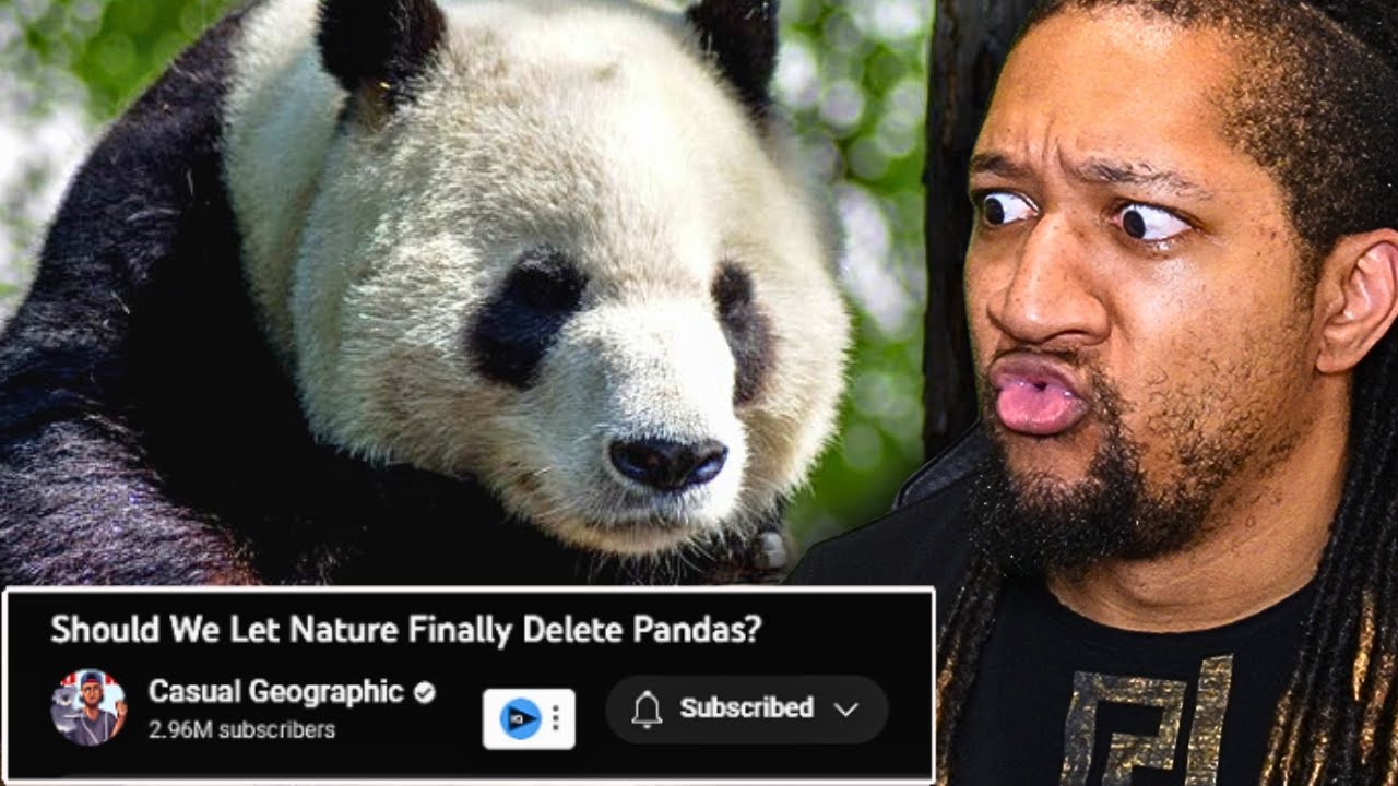 should-we-allow-pandas-to-fade-away-casual-geographic-reaction-youtube