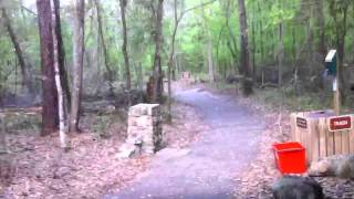 Brief look at Visitor's Center at Devil's Millhopper