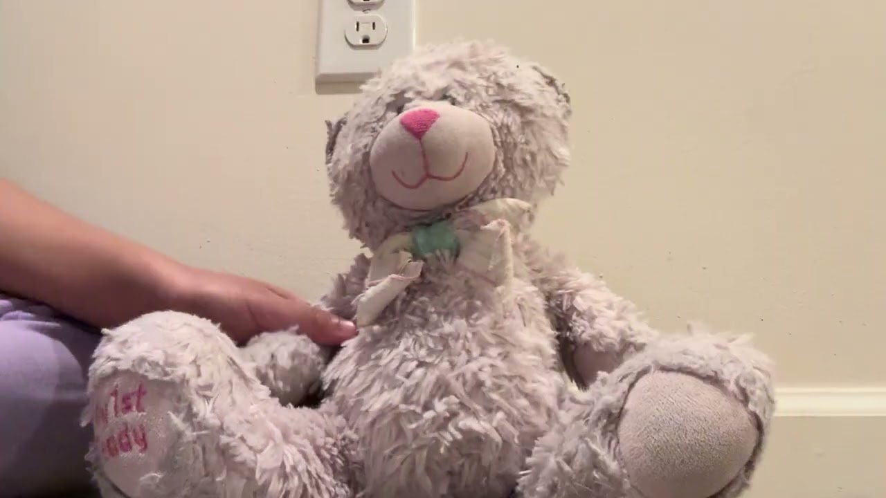 Teddy and paper squishy,s act!!!😃😍