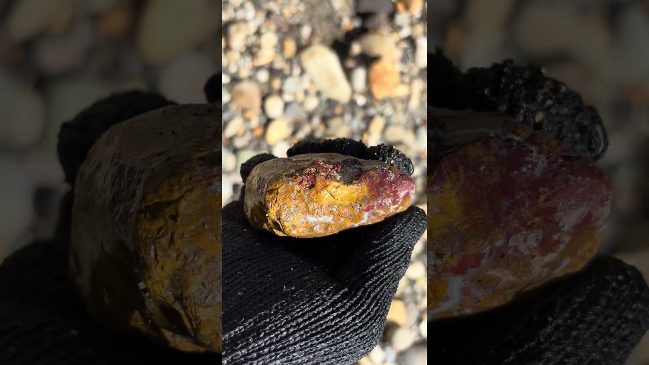 今金ピリカ　ジャスパー　秀赤石 Red and yellow jasper#shorts #stone #nature #ジャスパー #jasper