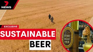 Eco-friendly grain changing the game for beer lovers | 7 News Australia