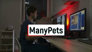 The 5 Best Cheap Pet Insurance For Cats In 2022