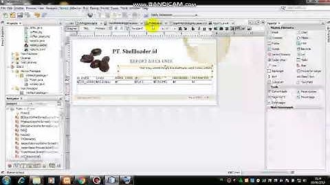 iReport Java NetBeans