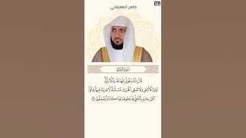 ماهر المعيقلي سورة البقرة آية 71 (قال انه يقول إنها بقرة) | Mahmoud Okasha