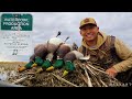 My Best SOLO PUBLIC LAND Duck Hunt EVER! (Limit of Greenheads!)