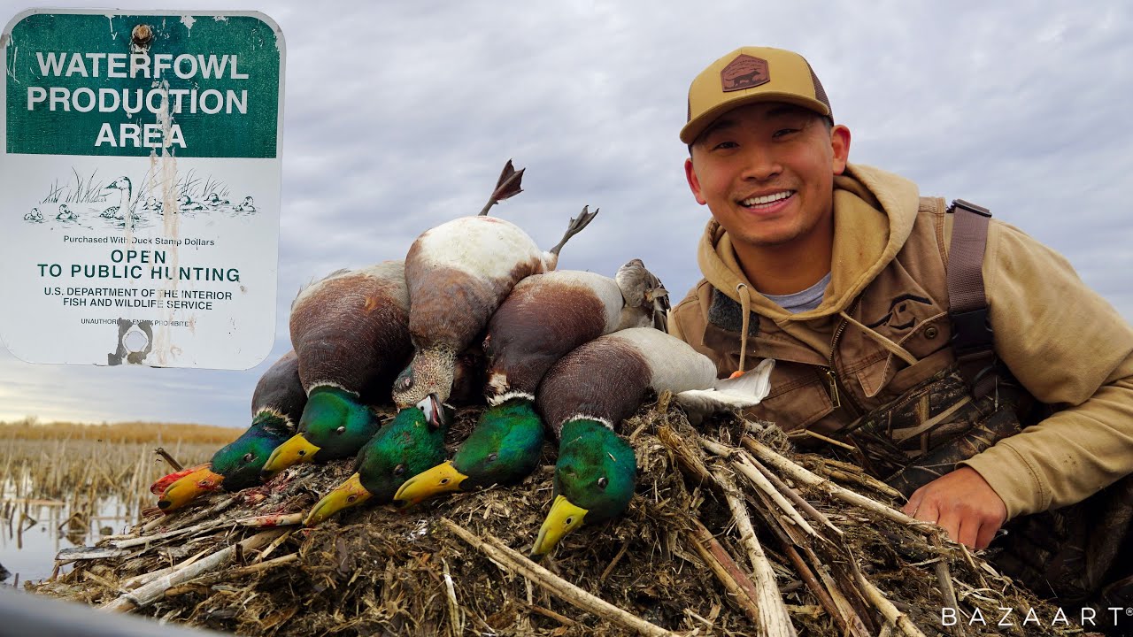 My Best SOLO PUBLIC LAND Duck Hunt EVER Limit Of Greenheads YouTube my-best-solo-public-land-duck-hunt-ever-limit-of-greenheads-youtube
