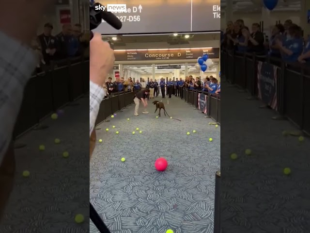 Retiring sniffer dog showered with toys