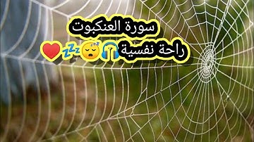 تلاوة 🎧خاشعة😴مريحة للعصاب❤️سورة العنكبوت للقاري🎤اسلام صبحي♥️