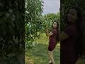 Dehli Diaries #ytshorts#shorts#funny#trending